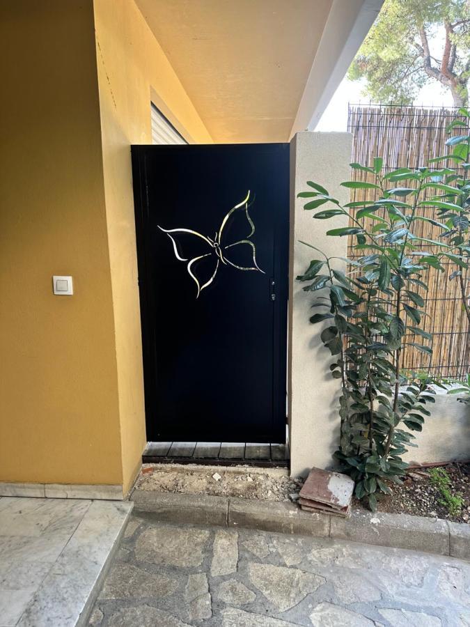Papillon De Cimiez Apartment Nice Bagian luar foto